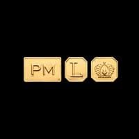 PMG logo